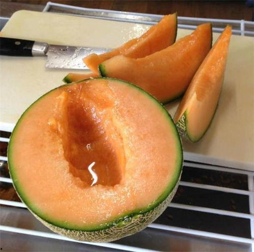 吃瓜小视频的瓜币照片,吃瓜小视频背后的虚拟货币风云