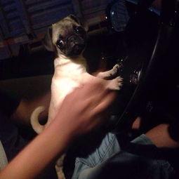 吃瓜基地视频大全最新版,最新热门内容大盘点