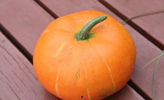 吃药吃瓜了的视频大全