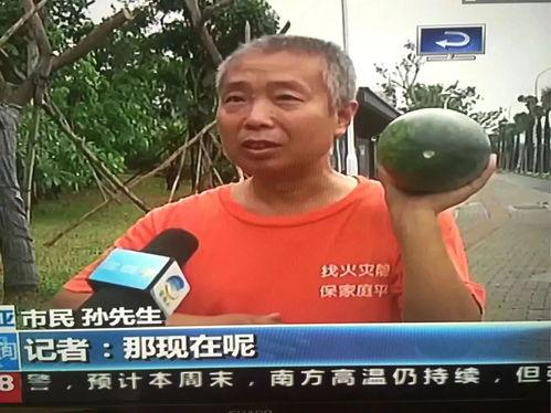 热门吃瓜事件100个视频,盘点年度网络热议瞬间