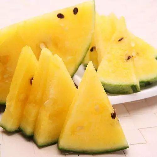 哈密吃瓜 哪里好吃啊视频