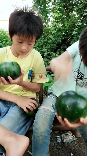 各种吃瓜视频表演,揭秘网络红人幕后表演幕后真相