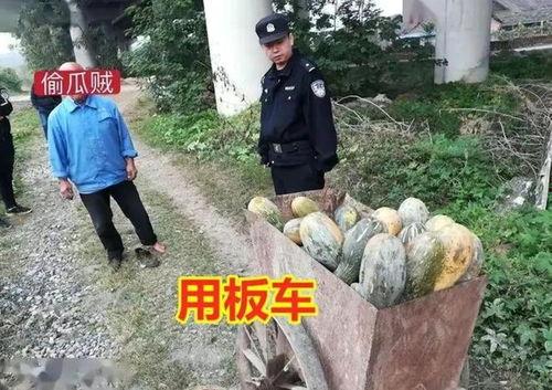 酉阳吃瓜事件真相视频完整版,揭秘真相背后的惊人内幕