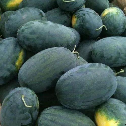 武汉鄂东吃瓜视频,揭秘当地特色美食背后的故事