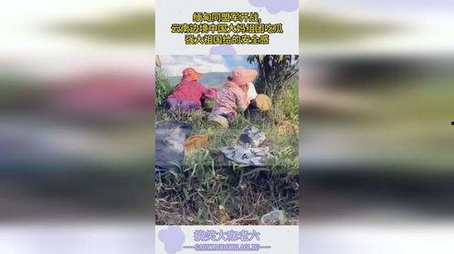 缅甸战争大妈吃瓜视频,揭秘战地生活背后的真实情感