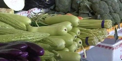 河南人吃葫芦瓜视频播放,葫芦瓜的独特风味，视频播放引网友热议