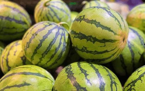 吃生瓜蛋子的视频,揭秘生瓜蛋子的独特风味