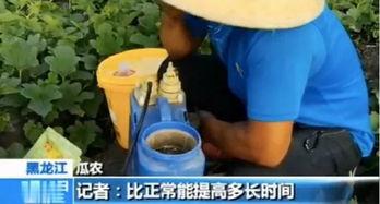 买吃瓜视频违法还是卖的违法,买卖双方法律风险解析