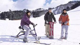 东京滑雪圈吃瓜事件视频,一场意外的网络狂欢