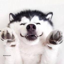 吃瓜群众母老虎视频大全,揭秘网络红人背后的故事