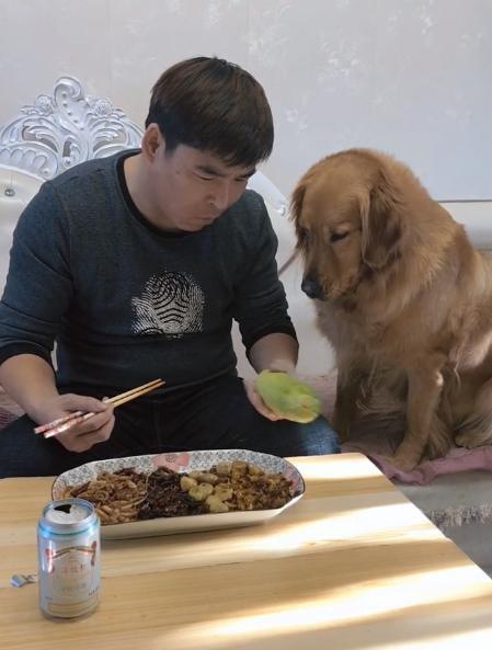 金毛黑狗吃瓜视频,萌态十足，网友直呼可爱爆表！