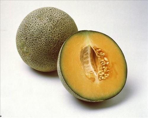 吃瓜必看教程视频大全,教程视频大全攻略解析