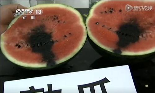 关于发明的视频带你吃瓜,带你走进“吃瓜”新世界