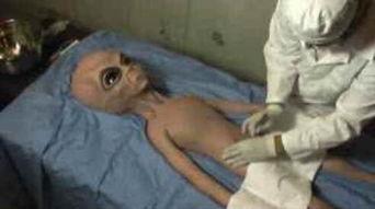 沙雕吃瓜外星人视频