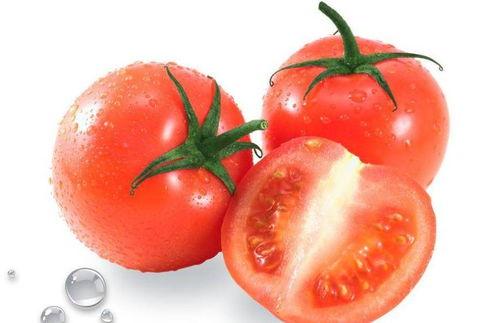 番茄哥吃瓜视频