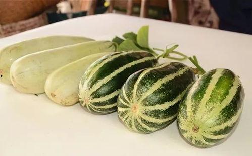 网红吃瓜免费视频,揭秘娱乐圈幕后故事