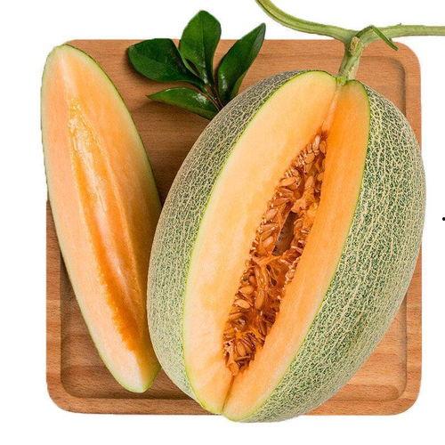 小蜜瓜需要去籽吃吗视频,轻松享用美味每一口