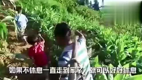 鹤壁事件吃瓜视频,吃瓜群众视角下的网络舆论风暴