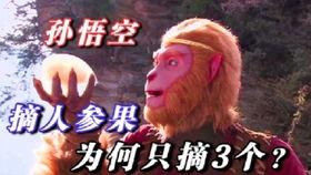 西游鬼畜吃瓜视频,一场奇幻与幽默的视听盛宴