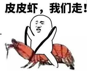 吃瓜群众走过来的视频,吃瓜群众视角下的短视频走红揭秘
